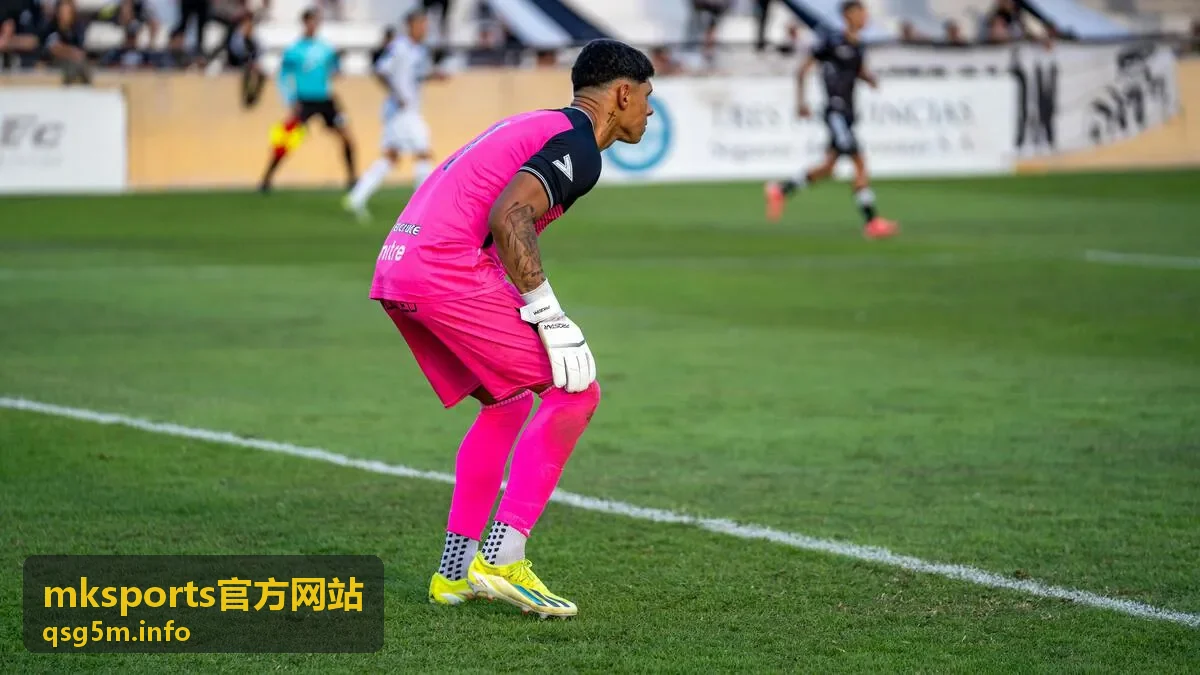 mksports官方网站标准会员数据与深度解读内容